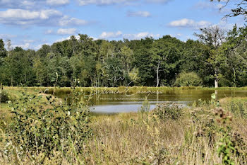 propriété à Lamotte-Beuvron (41)