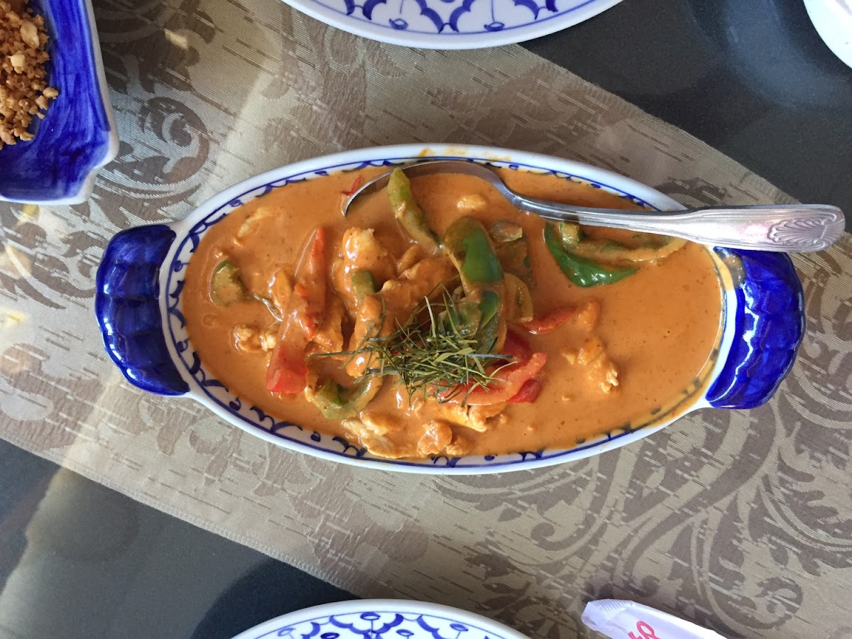 Panang Curry with Chicken