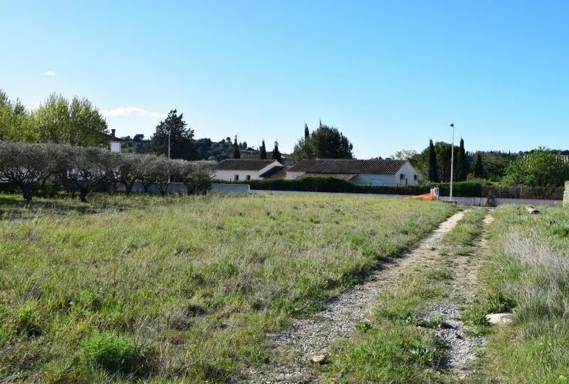  Vente Terrain + Maison - Terrain : 438m² - Maison : 101m² à Domazan (30390) 