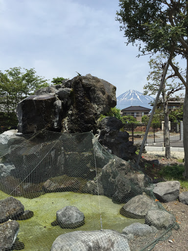 天間の天然水