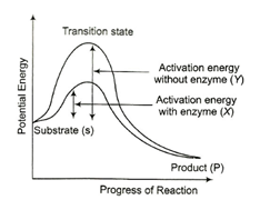 Solution Image