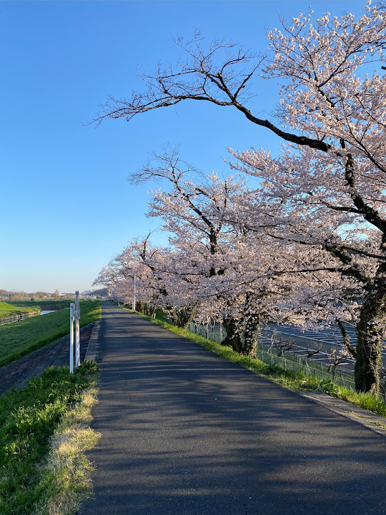 の投稿画像6枚目