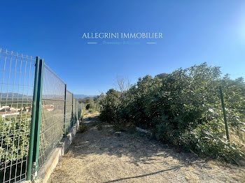 terrain à Saint-Florent (2B)