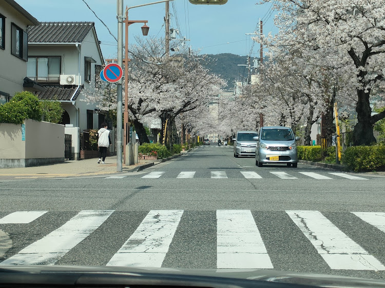 の投稿画像2枚目