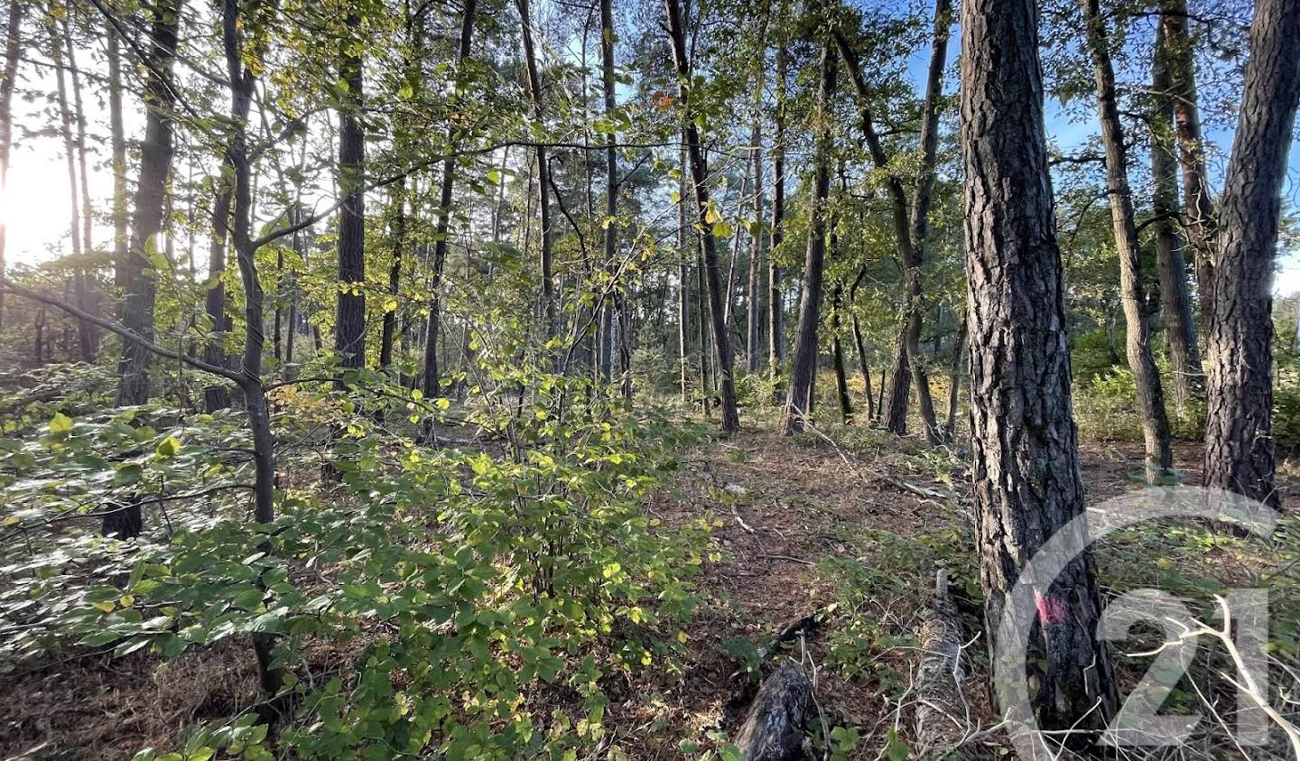 Land Arbonne-la-Forêt