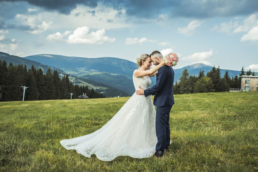 Wedding photographer Věra Cejnarová (cejnarovafoto). Photo of 21 February 2019