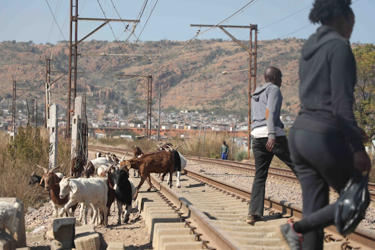 King Cetshwayo residents have raised concerns about a number of issues with the transport portfolio committee, including Transnet's lack of compassion for victims of railway accidents.