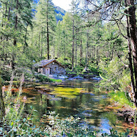 La casa nel bosco di 