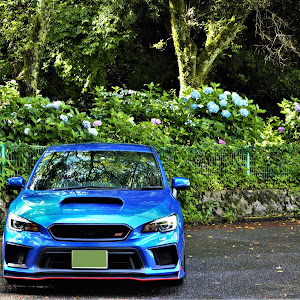 WRX STI VAB