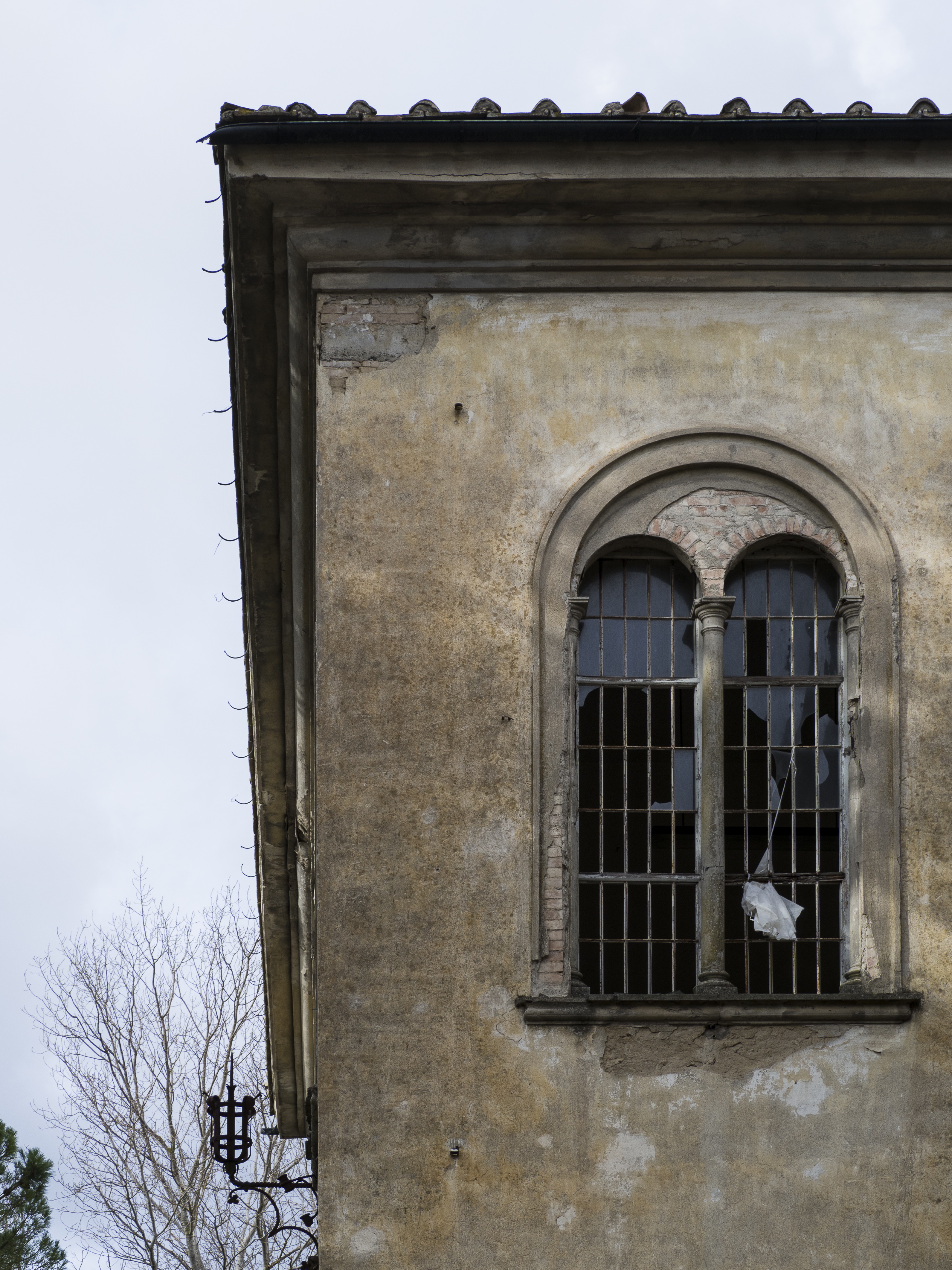 Free di Giulia Franceschi