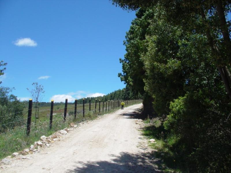 Lote En Venta - Sopo, Sopo