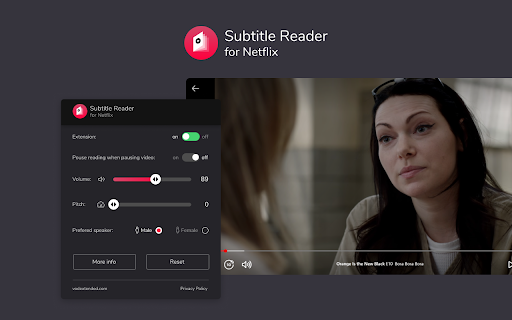 Subtitle Reader for Netflix