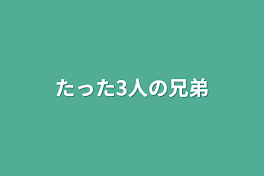 たった3人の兄弟だから