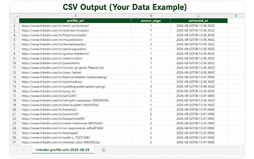 LinkedIn URL Extractor screenshot 4