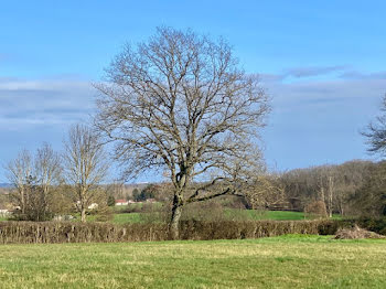 terrain à Paray-le-Monial (71)