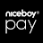 Niceboy Pay icon