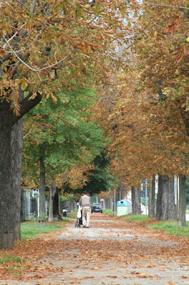 viale di igor fenti photo