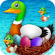 Download Duck Breeding Farm For PC Windows and Mac 1.0