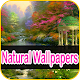 Download Nature Wallpaper/Natural Wallpapers For PC Windows and Mac 1.0