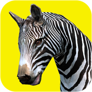 Zebra Buffalo Best Kids App logo