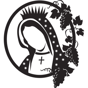Napa Institute Conference 2016 logo