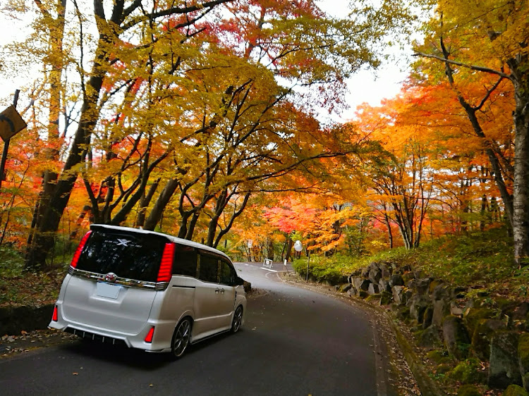ヴォクシーの紅葉コラボ・紅葉と愛車・峠道・黄葉・紅葉ドライブに関するカスタム事例の投稿画像3枚目