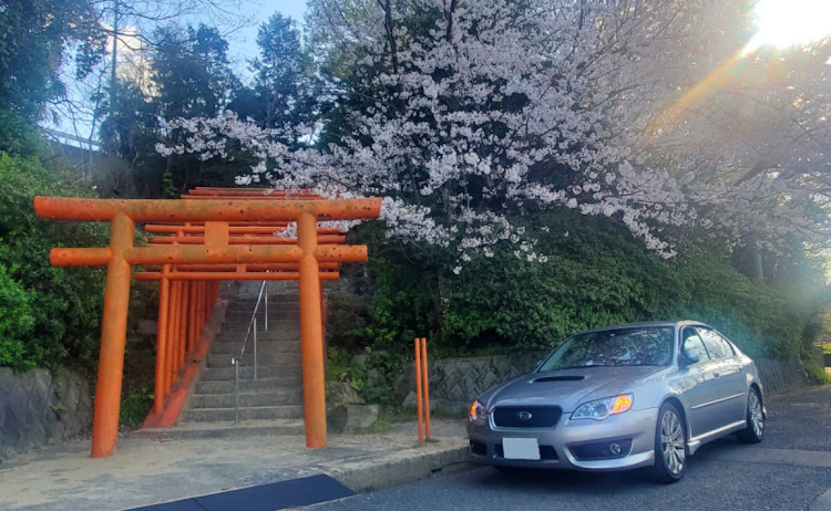 レガシィB4のコロナウイルスに負けるな・ドライブ・桜とコラボ・桜と愛車に関するカスタム事例の投稿画像3枚目
