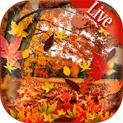 Beautiful Autumn Live Wallpaper 1.0 Icon