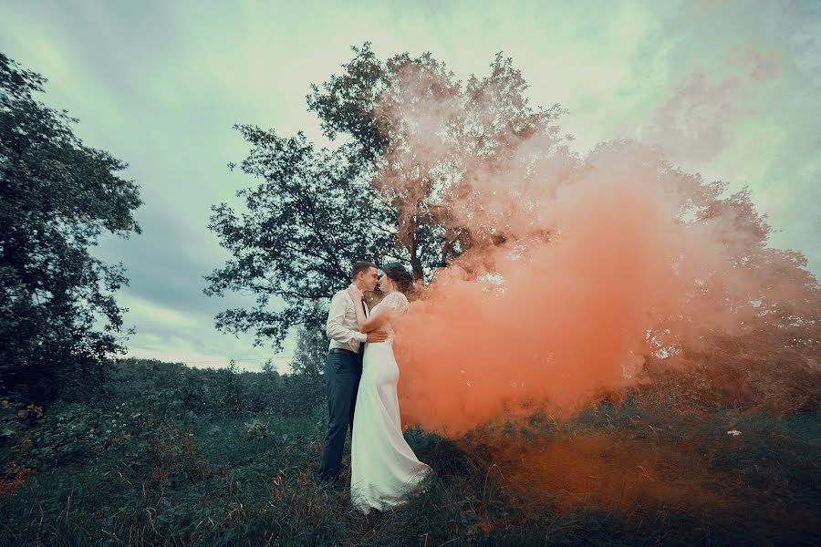 Wedding photographer Dmitriy Stenko (loveframe). Photo of 30 October 2016