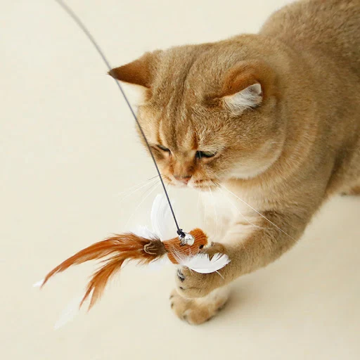 Handfree Bird/Feather Cat Wand with Bell Powerful Suction Cup Interactive Toys for Cats Kitten Hunting Exercise Pet Prod