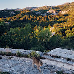 Φωτογραφία 23