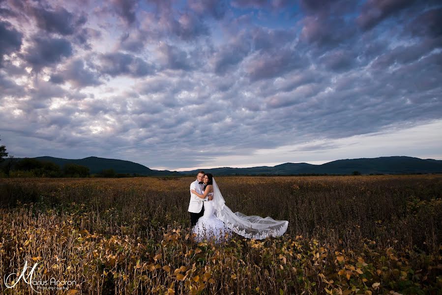 Fotógrafo de casamento Marius Andron (mariusandron). Foto de 7 de abril 2015