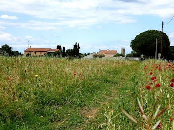 terrain à Pomérols (34)