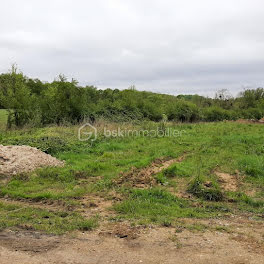 terrain à Soignolles-en-Brie (77)