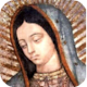 Download Oración milagrosa a la Virgen de Guadalupe Audio For PC Windows and Mac 1.0