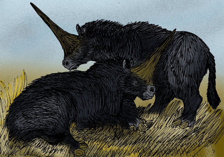 File:Elasmotherium sibiricum black.jpg