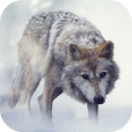 Cover Image of Télécharger sons de loup 2.0 APK