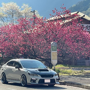 WRX S4 VAG