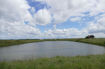 terrain à Nieulle-sur-Seudre (17)