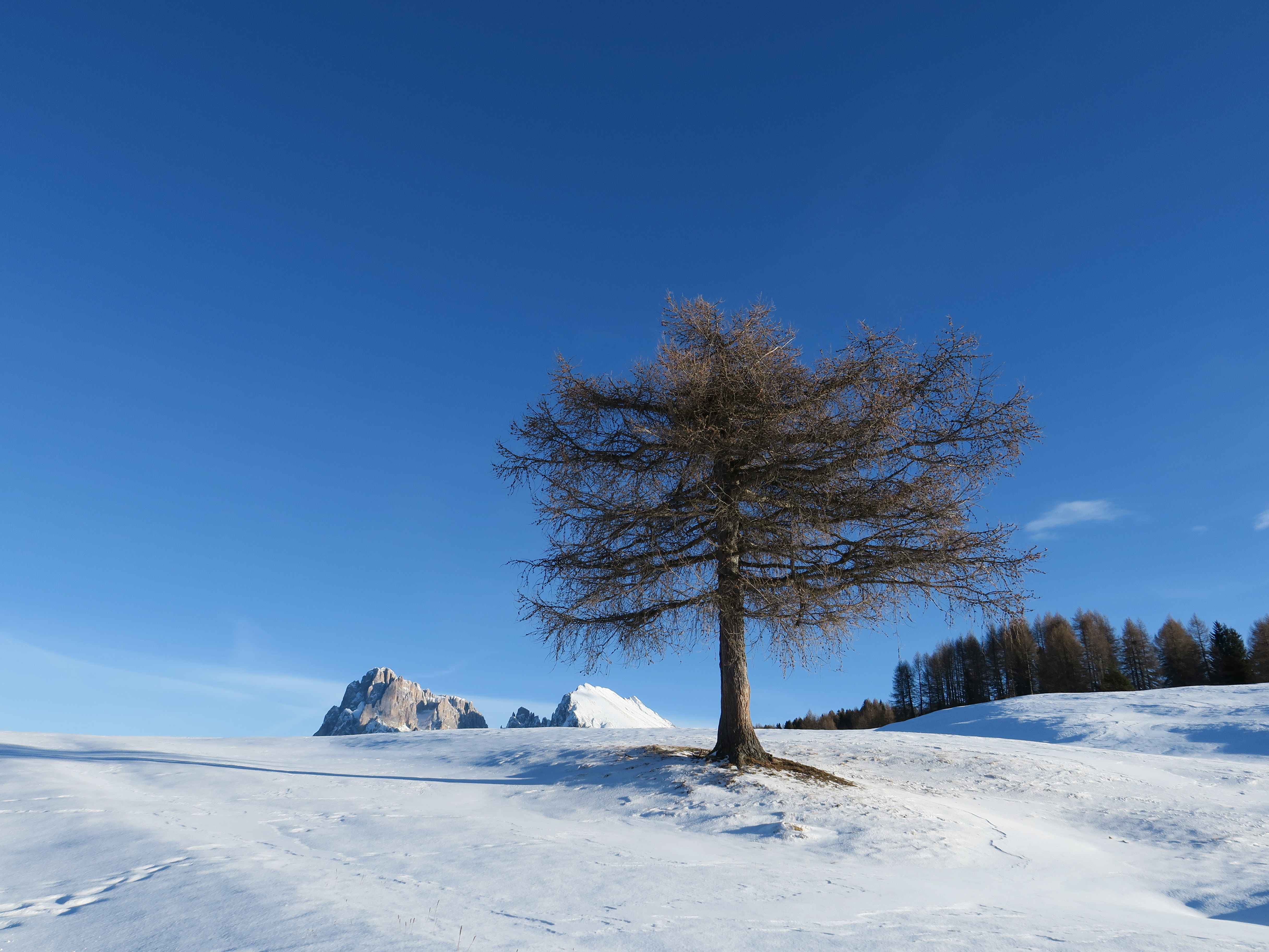 Inverno solitario di klarinetto