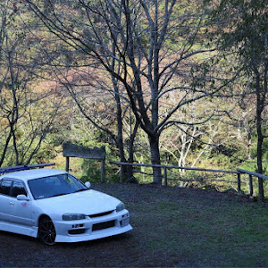 スカイライン ENR34