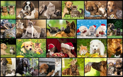 Dogs and Cats Kid Puzzle Games Screenshots 10