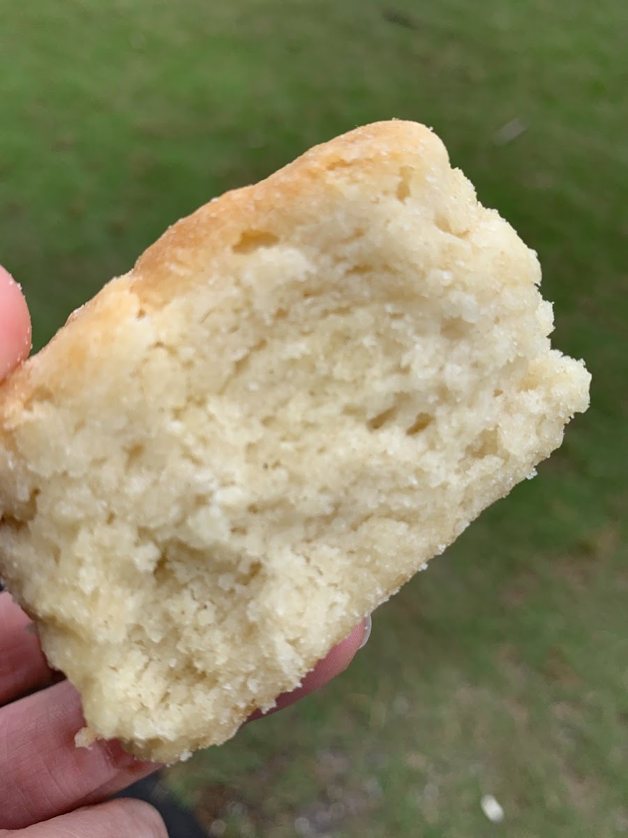 Best gluten free biscuit I’ve ever had. Just look at the fluffiness!