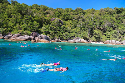 Snorkel and swim in crystal clear blue sea water on Koh Similan
