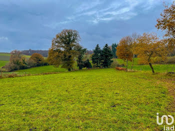 terrain à Moissannes (87)