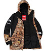 supreme the north face mountain light jacket leaves