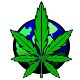 Download Mundo Cannabico For PC Windows and Mac 