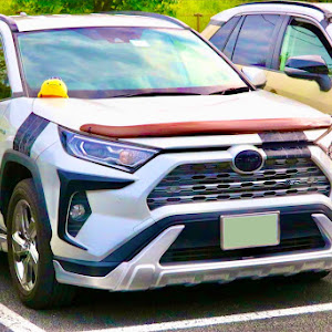 RAV4 MXAA54