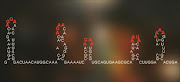 A code hidden in the arrangement of the genetic information of single-stranded RNA viruses tells the virus how to pack itself within its outer shell of proteins.