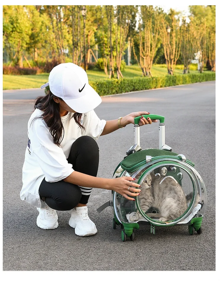 Sac de transport pour petits animaux, sac à couches pour chiens portable, transparent, sac à bandoulière pour chats, style capsule spatiale.